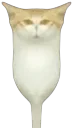 :VraiChamiroir: