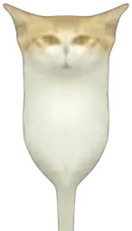 :VraiChamiroir: