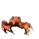 :Crabe_dance: