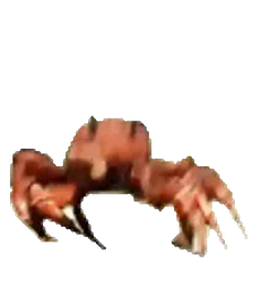 :Crabe_dance:
