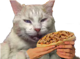 :Kebap: