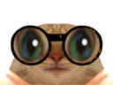 :chatlunette2: