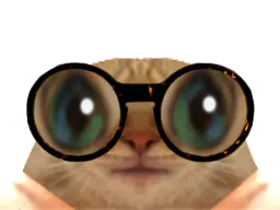 :chatlunette2: