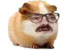 :Hamster_lunette: