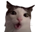 :oh_: