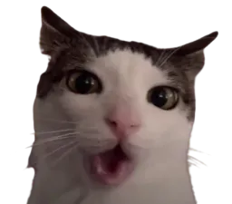 :oh_: