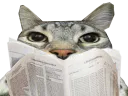 :CS_Journal: