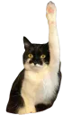 :Chat_main2: