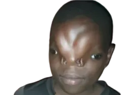 :Noirosaurus:
