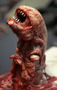 :Chestburster: