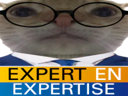 :Exper: