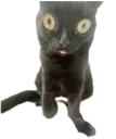 :Croquette:
