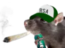 :rat_rsa_bedo: