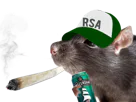 :rat_rsa_bedo: