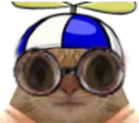 :lunetteschat: