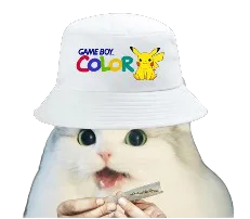 :cattoxboy: