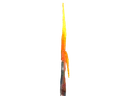 :T11: