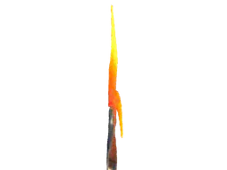 :T11: