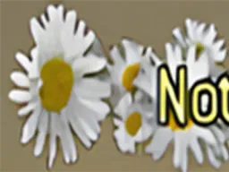 :ban1: