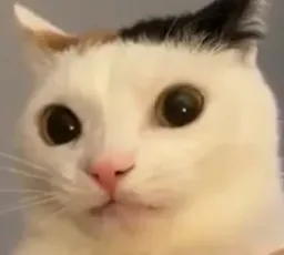 :stickerchat67: