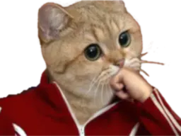 :sodium_poing: