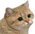 :Sainte:
