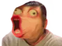 :risitas_immonde: