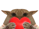 :coeurchat: