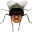 Photo de profil de Moustique
