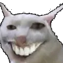 :cat_smile: