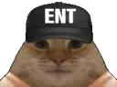 :entchat: