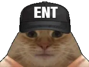 :entchat: