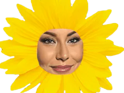 :mqfleur: