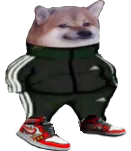 :DogDrip: