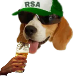 :Chien_marlou2: