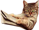 :Chat_journal: