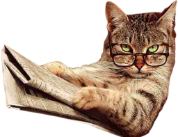 :Chat_journal: