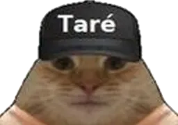 :Tare_1_detoure: