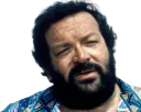:Bud4: