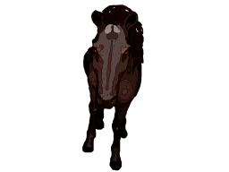 :cheval: