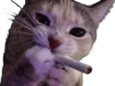 :chat_clope: