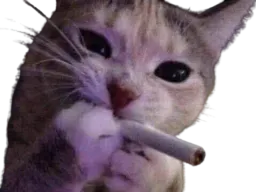 :chat_clope: