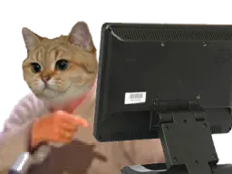 :sodium_regardez_le: