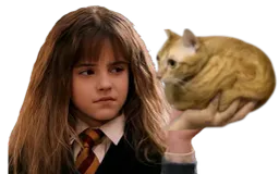 :Hermione_chamain: