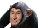 :Jesus_singe: