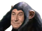 :Jesus_singe: