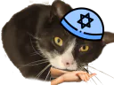 :chat_chanceux: