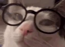 :mouaislunettes: