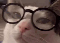 :mouaislunettes: