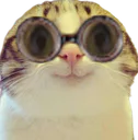 :Marrant_lunettes: